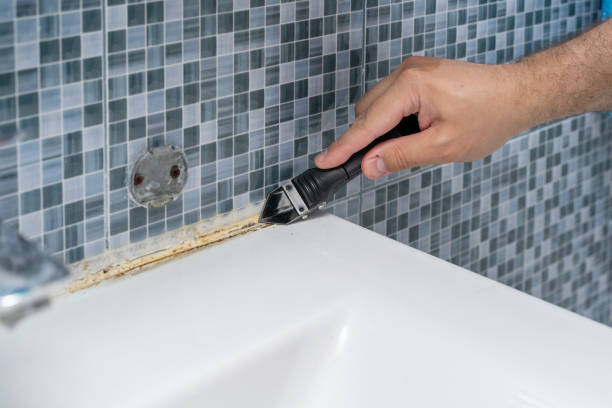 Best Best Mold Removal Companies  in Archbald, PA